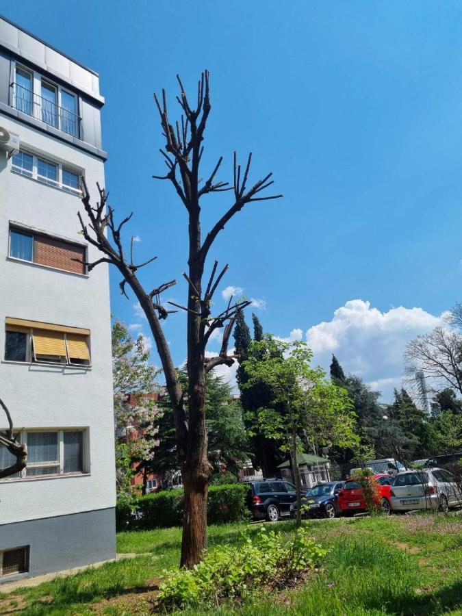 Atelje Apartment พอดโกริกา ภายนอก รูปภาพ