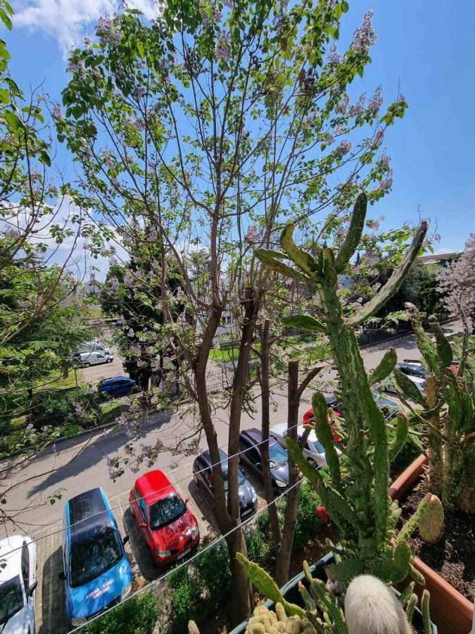 Atelje Apartment พอดโกริกา ภายนอก รูปภาพ